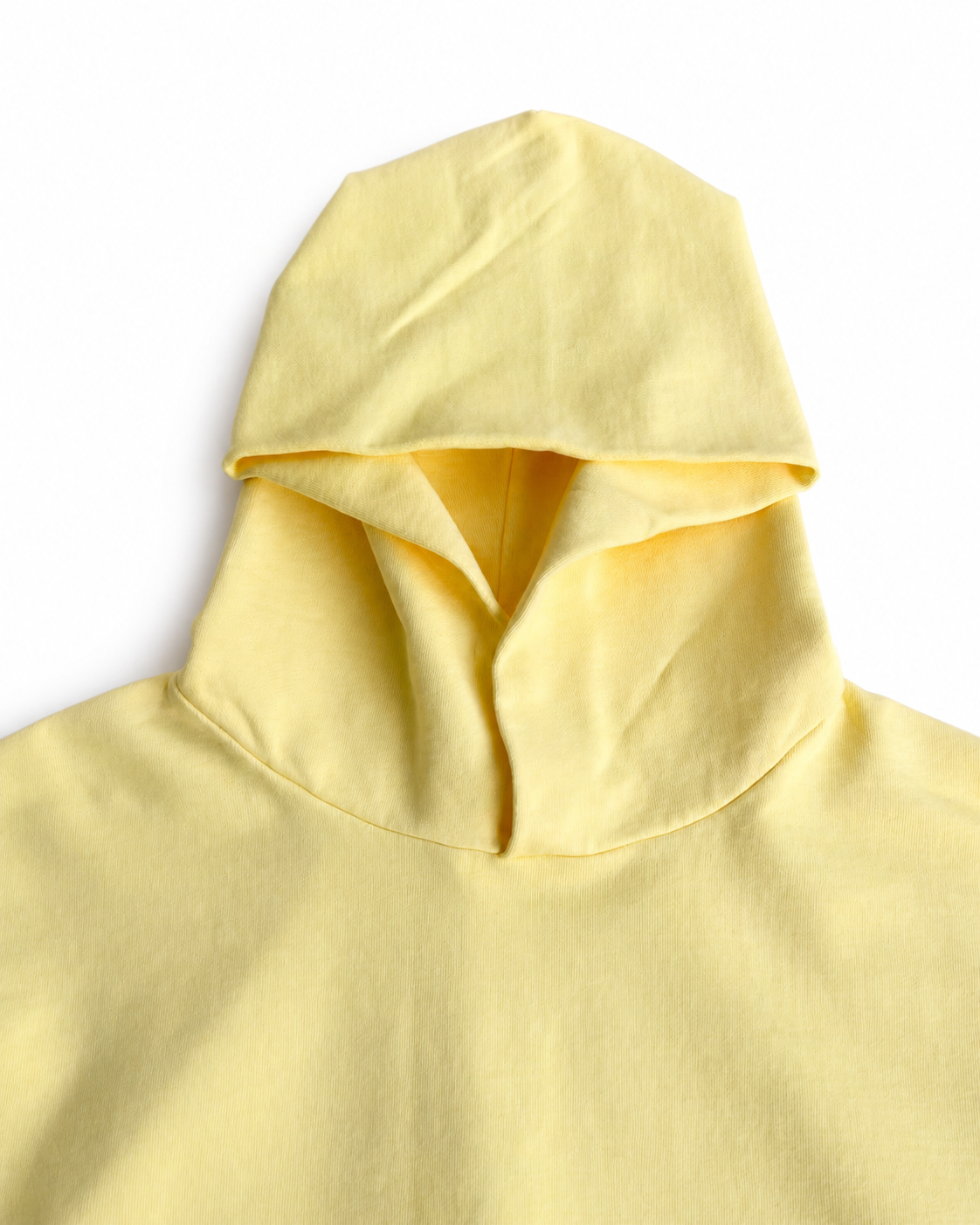 Felix Regem cotton hoodie back view