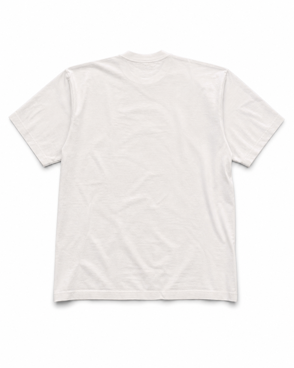 Felix Regem oversized T-shirt back view